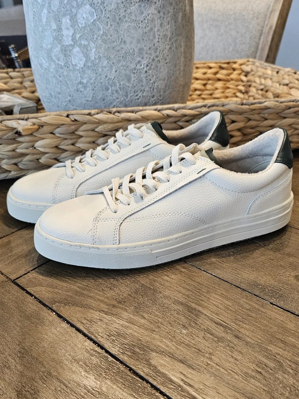 Steve Madden Cream Dark Green Leather Sneaker Shoes - Men's Sz 8 NWOB